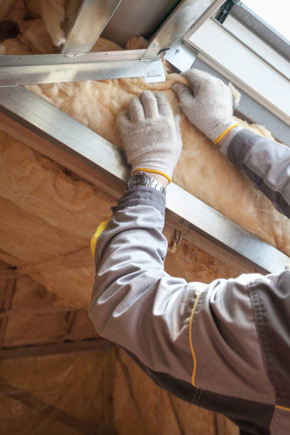 Best Geographic-Specific Insulation Services in Villa Hills, KY