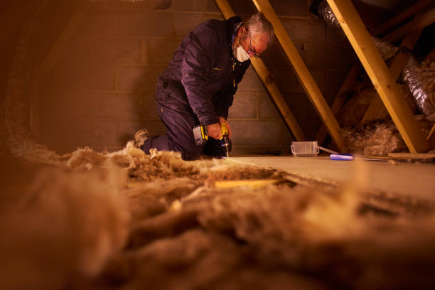 Best Eco-Friendly Insulation in Villa Hills, KY